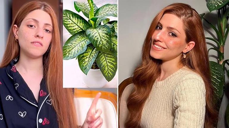 Bursada ağlayan çiçek zehirledi Böyle uyardı: ‘Evinizde bu çiçek varsa derhal çöpe atın’