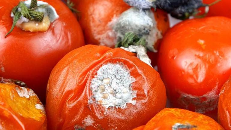Sürekli küflenen domates derdine son veren teknik Buzdolabında böyle muhafaza edin