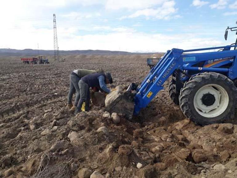 Köyüne döndü, 7 yıl boyunca 1500 kamyon taş topladı İnanılmaz son