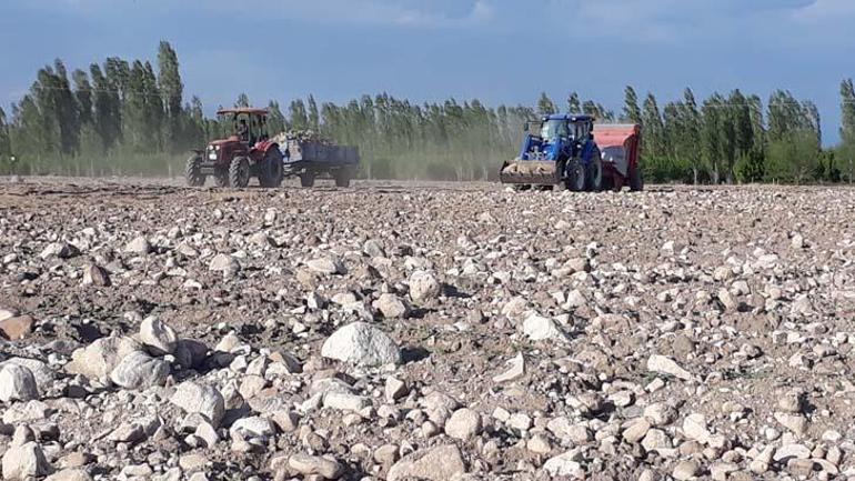 Köyüne döndü, 7 yıl boyunca 1500 kamyon taş topladı İnanılmaz son