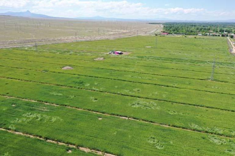 Köyüne döndü, 7 yıl boyunca 1500 kamyon taş topladı İnanılmaz son