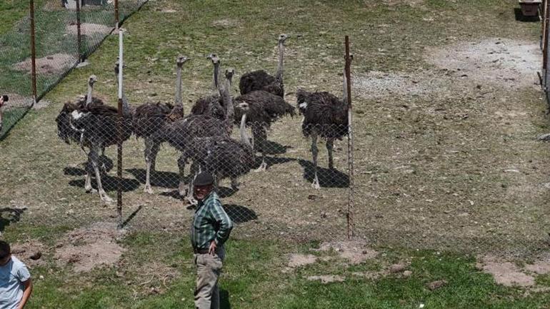 Babasının hayalini gerçekleştirdi, Sivas’ta bir ilk ‘Bayağı şaşıran oluyor