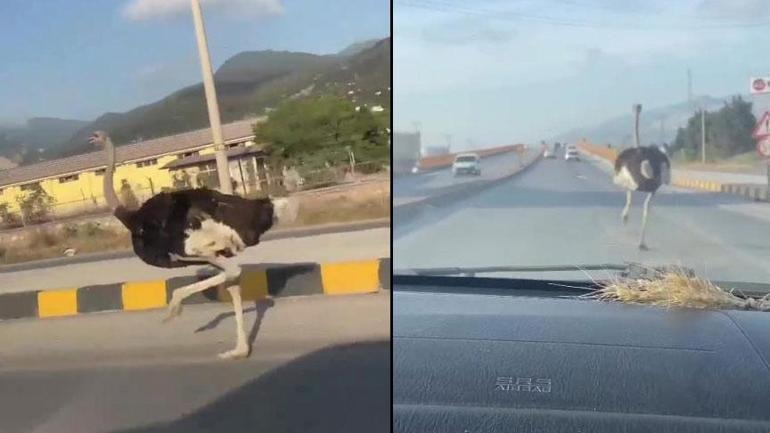 Babasının hayalini gerçekleştirdi, Sivas’ta bir ilk ‘Bayağı şaşıran oluyor