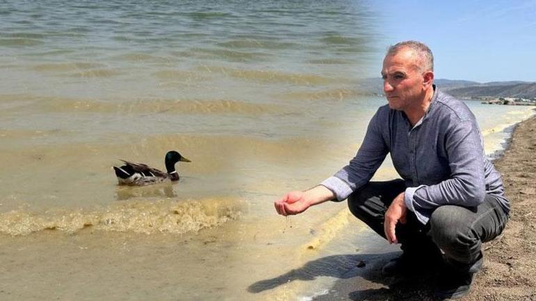 İznik Gölünde endişelendiren görüntü Renkten renge girmeye başladı
