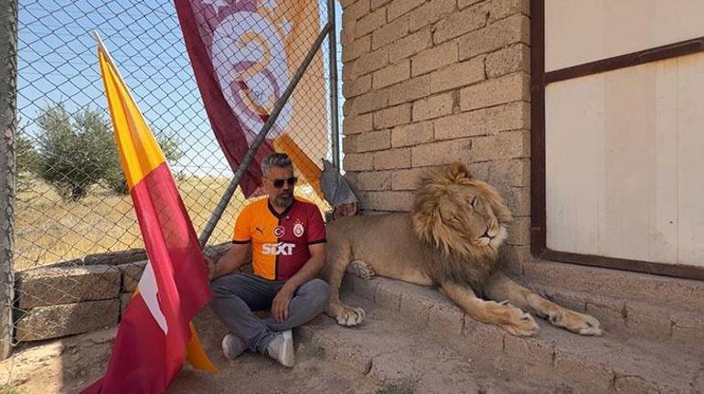Galatasaraylı taraftar, şampiyonluğu aslanlarıyla kutladı