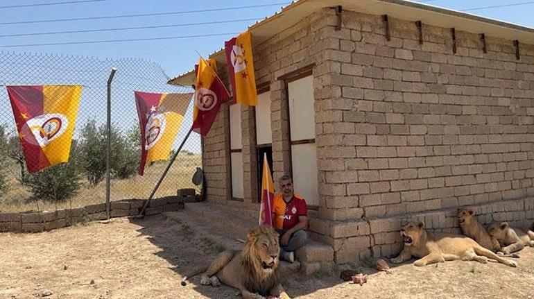 Galatasaraylı taraftar, şampiyonluğu aslanlarıyla kutladı