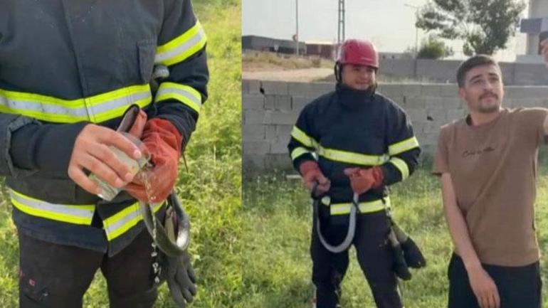 Dev panik Yılanı gören telefona sarıldı, metrelerce uzunlukta...
