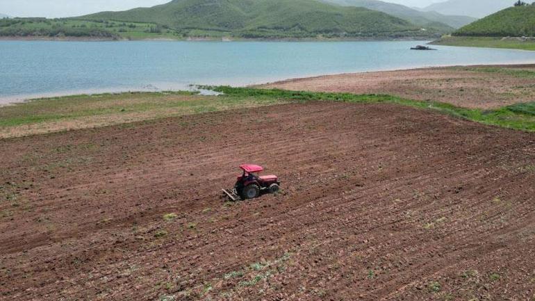 Baraj suları çekildi, gün yüzüne çıktı Traktörünü alan oraya koştu