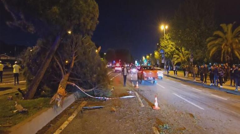 İstanbul Kartalda feci kaza Otomobil ağaçları devirip ters yöne geçti: 5 yaralı