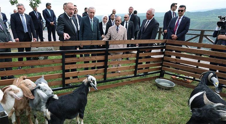 Cumhurbaşkanı Erdoğan, Azerbaycan Bağımsızlık Gününde düzenlenen konsere katıldı