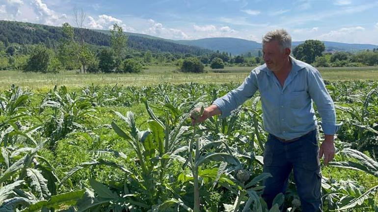 Hasat için tarlaya geldi, gözlerine inanamadı