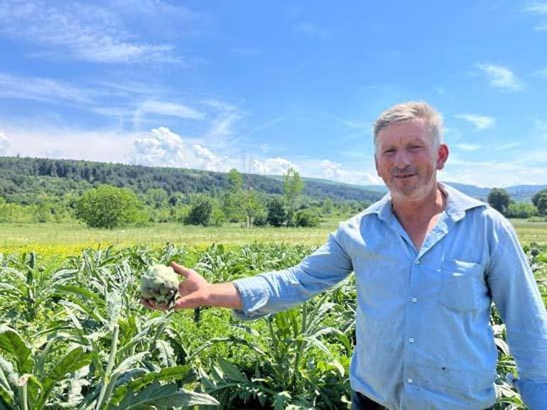 Hasat için tarlaya geldi, gözlerine inanamadı