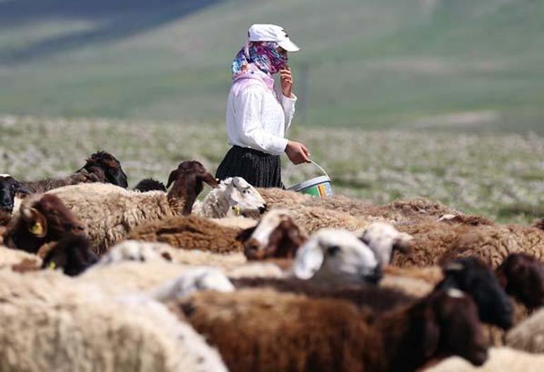 İstanbulu anında terk etti Köyden gelen haber hayatını değiştirdi