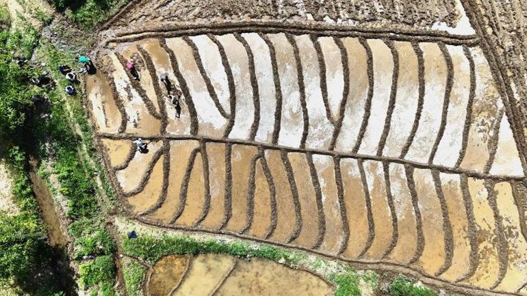 400 yıllık gelenek Sabah 5’te kalkıyorlar, ne traktör var ne makine: Dededen babadan kalma
