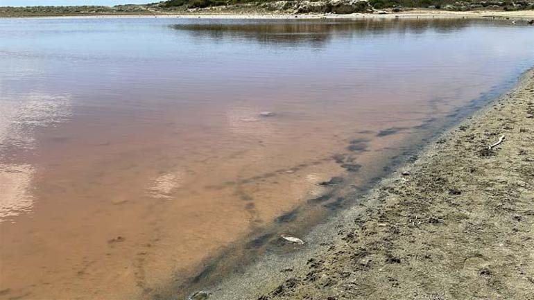Fotoğraf tutkunlarının beklediği an geldi: Kalpli Göl pembe renge büründü