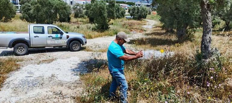 Lüks sitelerin arasında Dokunmanın bedeli 557 bin TL: Büyük bir şans