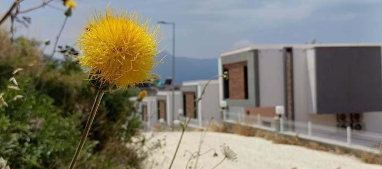 Lüks sitelerin arasında Dokunmanın bedeli 557 bin TL: Büyük bir şans