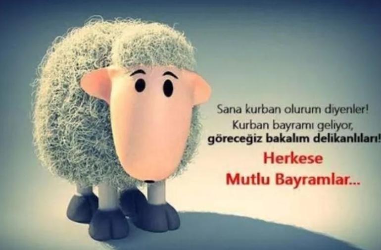 EN YENİ İYİ BAYRAMLAR, KURBAN BAYRAMI MESAJLARI 2025: Eğlenceli, güldüren, farklı, yeni, mizahi, neşeli ve komik bayram mesajları...