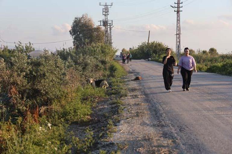 4 mahallede kuduz karantinası: Köpekler toplanmaya başladı