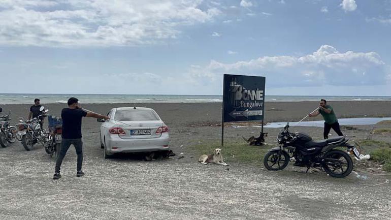 4 mahallede kuduz karantinası: Köpekler toplanmaya başladı