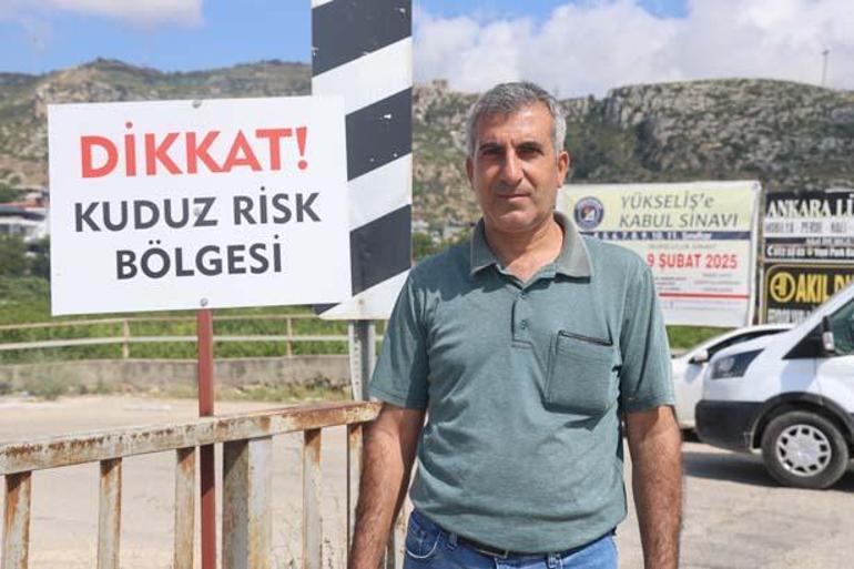 4 mahallede kuduz karantinası: Köpekler toplanmaya başladı