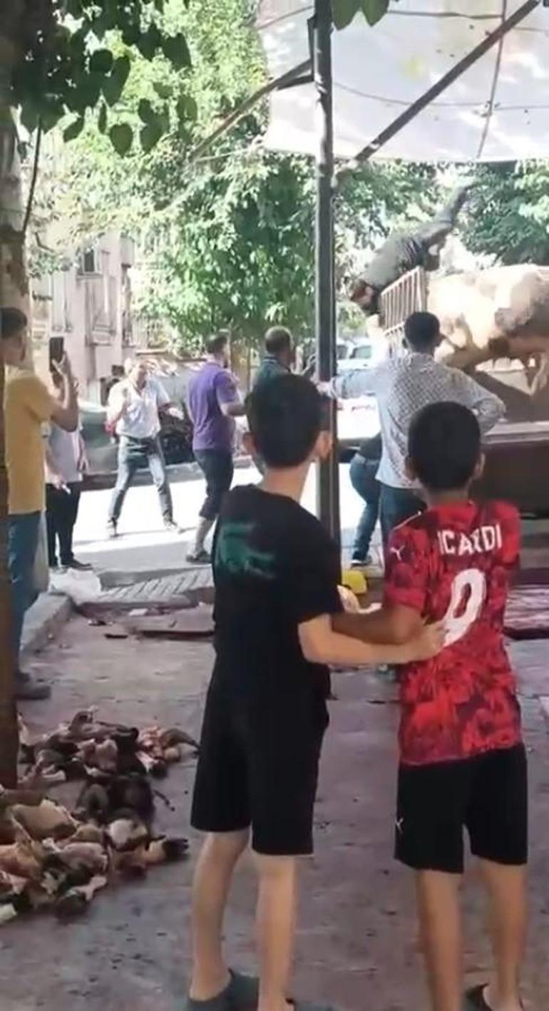Kızgın boğa dehşeti yaşattı: Kasabın ölümden döndüğü anlar kamerada