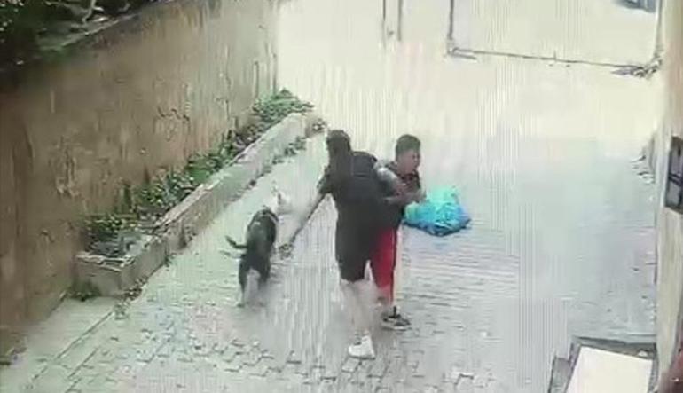 Ataşehirde korku dolu anlar Pitbull cinsi köpek çocuğa saldırdı