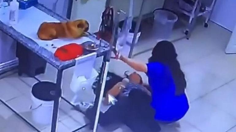 Veteriner kliniğinde şok anlar Köpeğini tedavi ettiren kadın yere yığıldı