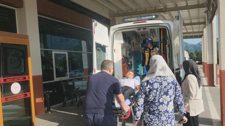 Tunceli’de dev yılan dehşeti Bir anda saldırdı