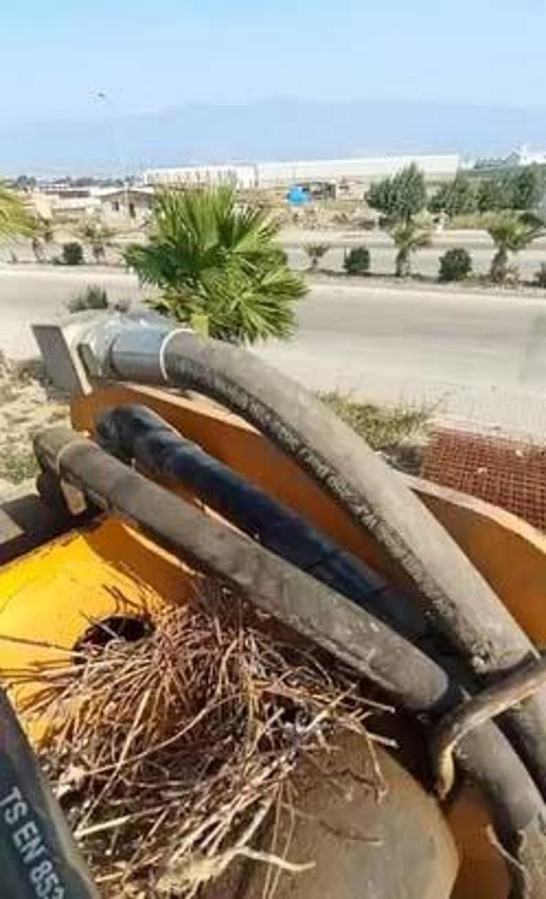 Parayı değil merhameti seçti: Sonuna kadar bekledik ve hayırlısı oldu