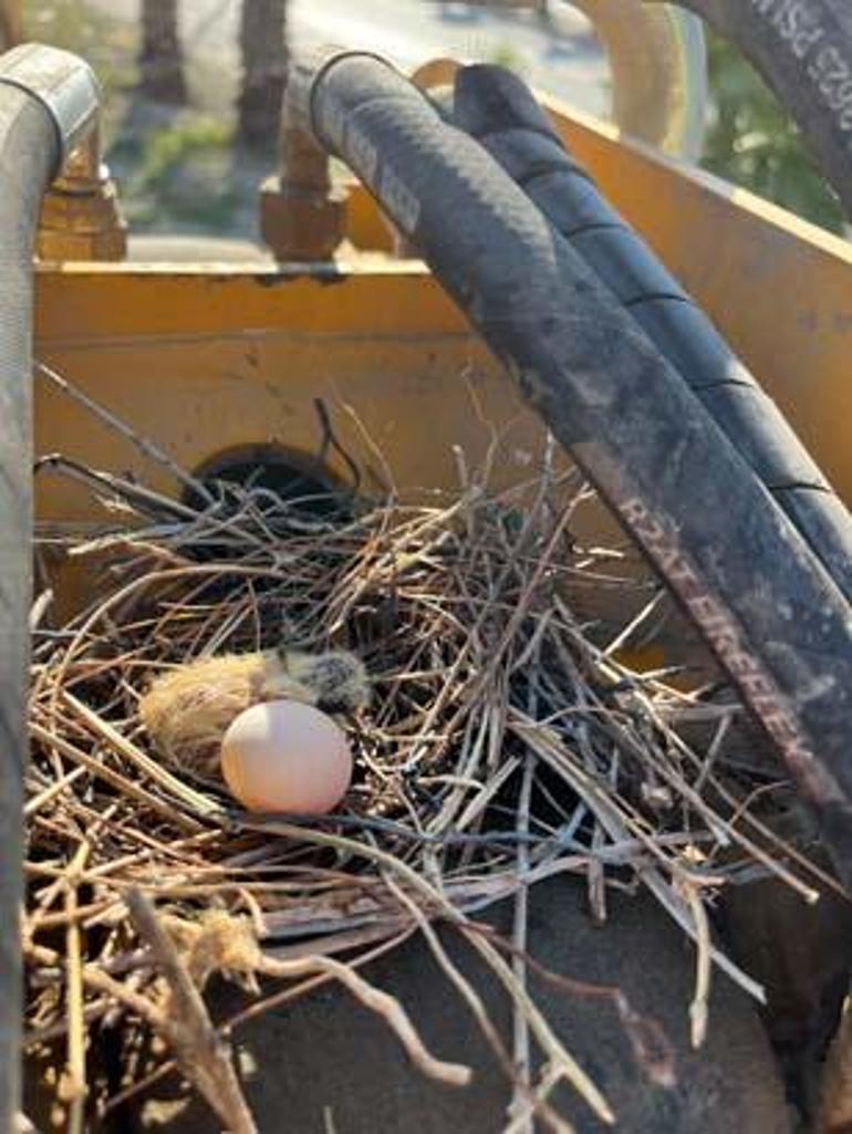 Parayı değil merhameti seçti: Sonuna kadar bekledik ve hayırlısı oldu