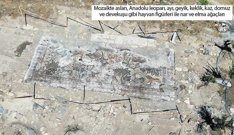 Elazığ Salkaya taban mozaiği: Tesadüfün güzelliği