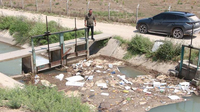 İnanılmaz görüntü Kurban derileri sulama kanalında yüzüyor: Çıplak ayakla gezmeyin