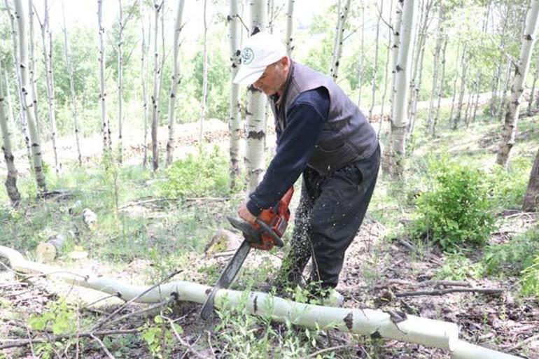 En son yapılacak iş ama 40 yıldır vazgeçemiyor: Alışkanlık olmuş