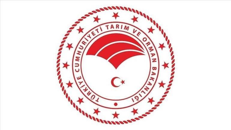 Tarım ve Orman Bakanlığı personel alımı 2025 başvuru ekranı açıldı mı Tarım ve Orman Bakanlığı 8500 personel alımı başvuru ne zaman, şartları neler