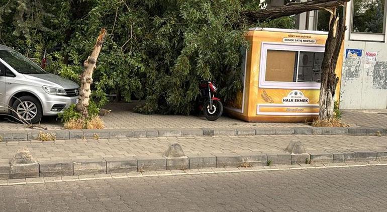 Fırtına kenti vurdu Otobüs durağı ve ağaçlar devrildi