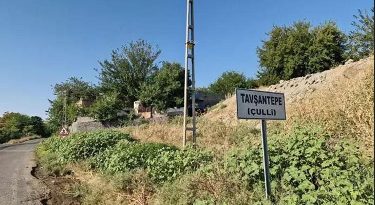 Diyarbakır Barosu Narin Güran davasına katılma talebinin reddine itiraz etti