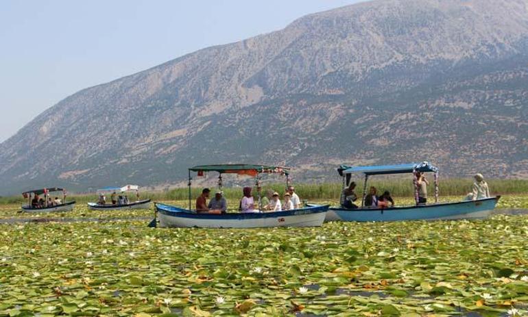 100 bin kişinin gelmesi bekleniyor: Geç keşfedilmiş hazine