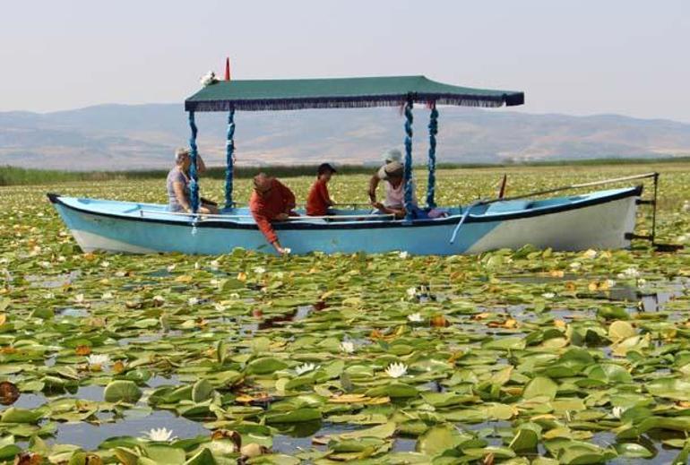 100 bin kişinin gelmesi bekleniyor: Geç keşfedilmiş hazine