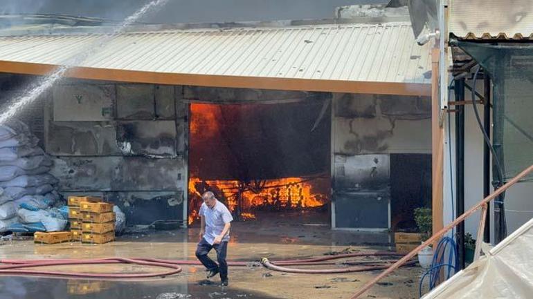 Antalyada gökyüzünü siyah dumanlar kapladı Yangına karşı zamanla yarış