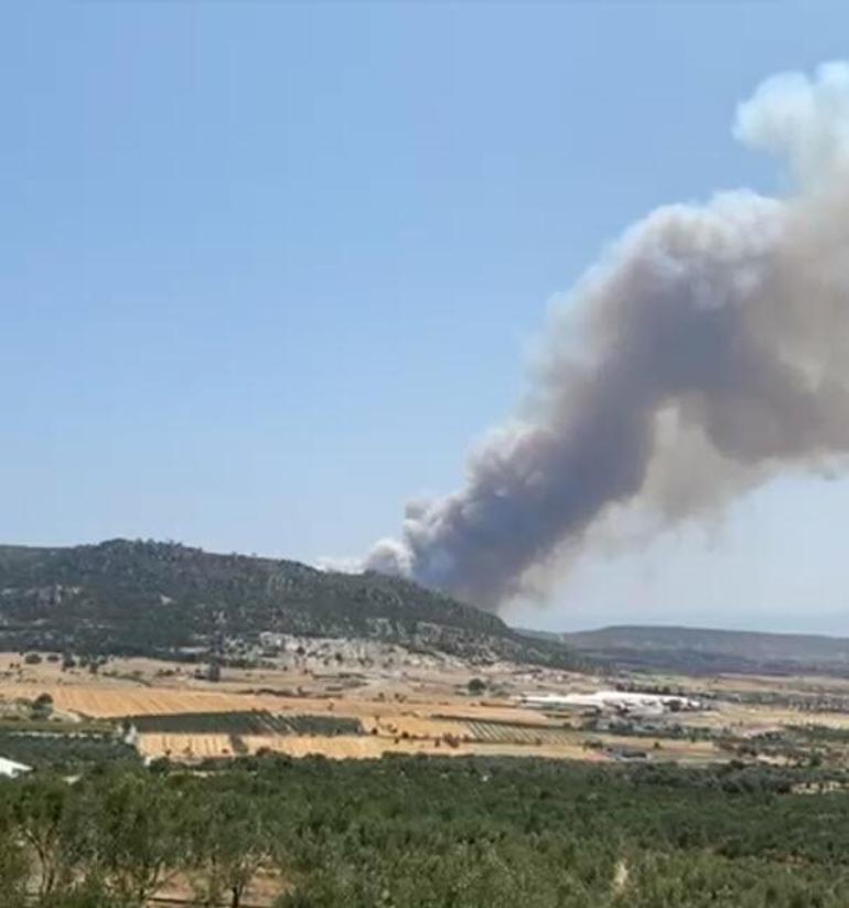İzmirde orman yangını Havadan karadan müdahale