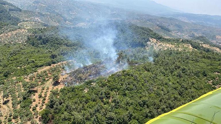İzmirde orman yangını Havadan karadan müdahale