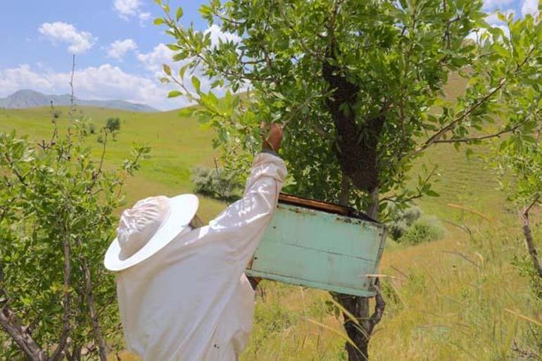 Aile mirası şimdi para kapısı oldu: Dededen babaya, babadan bize geçti