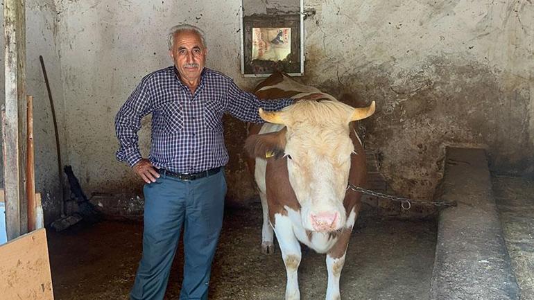 155 bin TL’ye anlaştı 155 TL gönderdiler 1 sıfır eksik yazınca şok gerçek ortaya çıktı