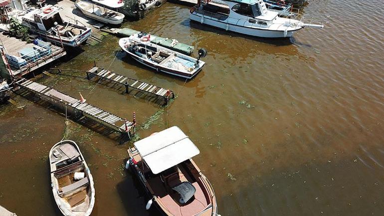 Marmara için yeni uyarı Deniz rengi değişti, tehlike çanları çalıyor