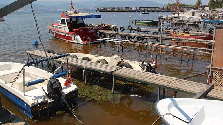Marmara için yeni uyarı Deniz rengi değişti, tehlike çanları çalıyor