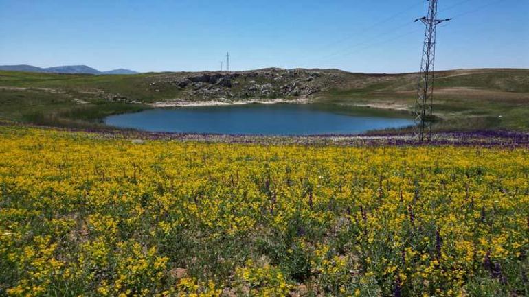 Anadoluda bozkırın ortasında gizli bir cennet