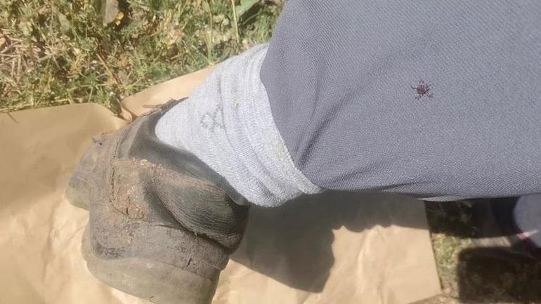 Onlarcası etrafını sardı Kentte kabus: Köpekler gibi koku alıp üzerimize geliyorlar