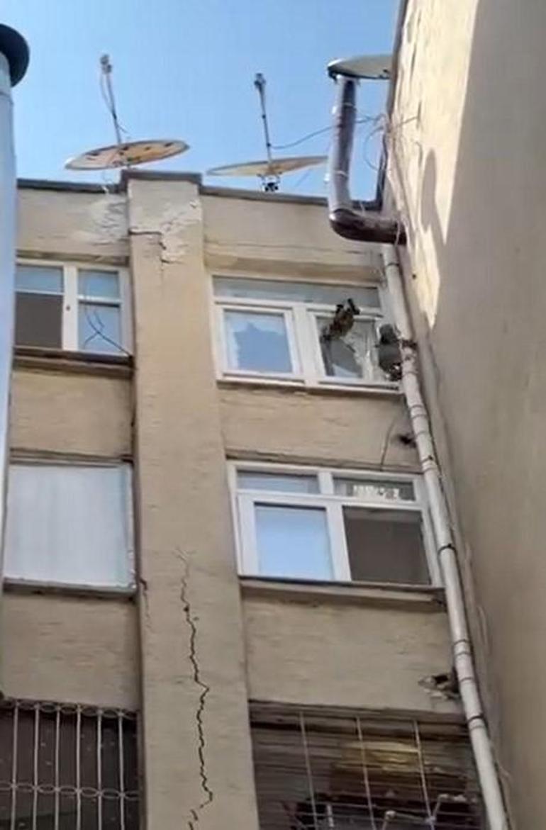 Siteye giren maymun Hayri için kafesli operasyon Evlere iniyor, ne bulursa yiyor