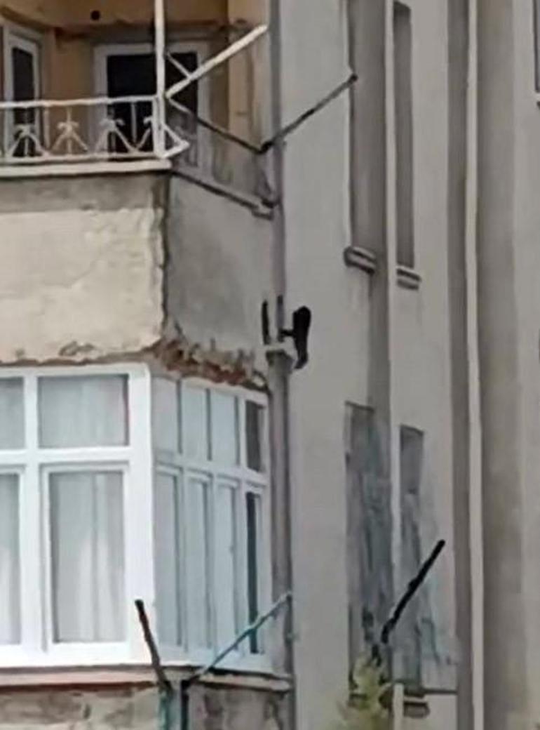 Siteye giren maymun Hayri için kafesli operasyon Evlere iniyor, ne bulursa yiyor